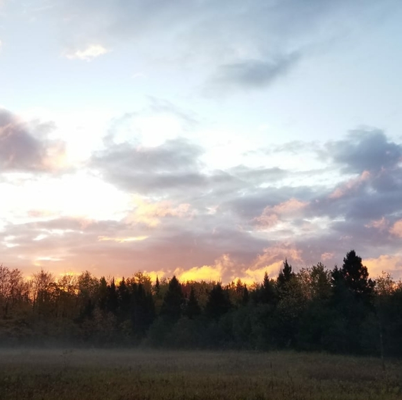 Meet your Posher, Nancy - Picture 2 of 4